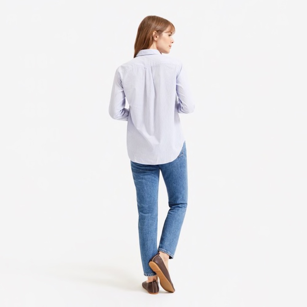 Everlane Silky Cotton Stripe Relaxed Shirt